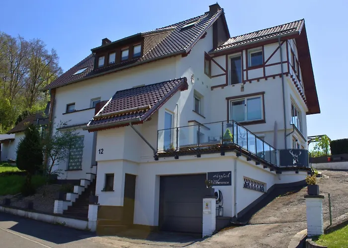 Eifelglueck With Roof Terrace * Pelm