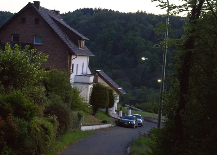 Eifelglueck With Roof Terrace Apartment *